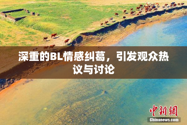深重的BL情感纠葛，引发观众热议与讨论