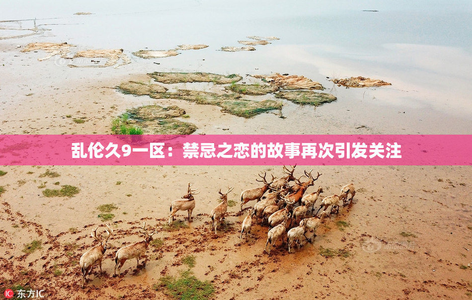 乱伦久9一区：禁忌之恋的故事再次引发关注