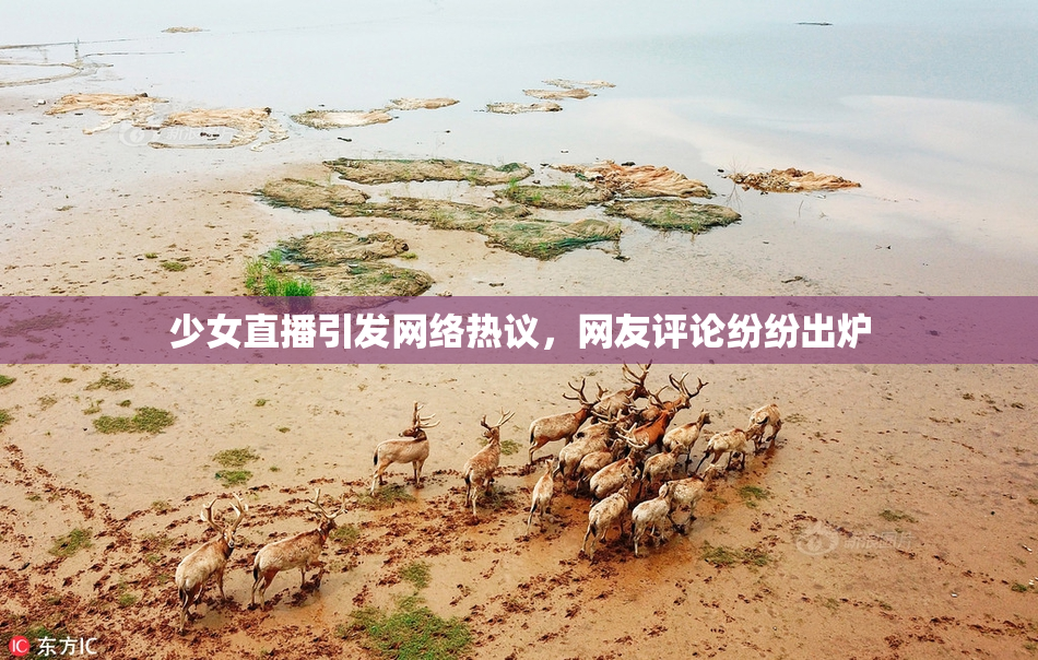 少女直播引发网络热议，网友评论纷纷出炉