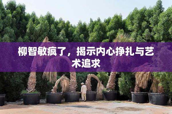 柳智敏疯了，揭示内心挣扎与艺术追求