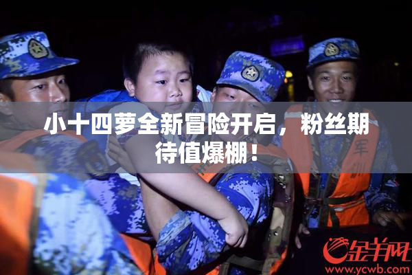 小十四萝全新冒险开启，粉丝期待值爆棚！