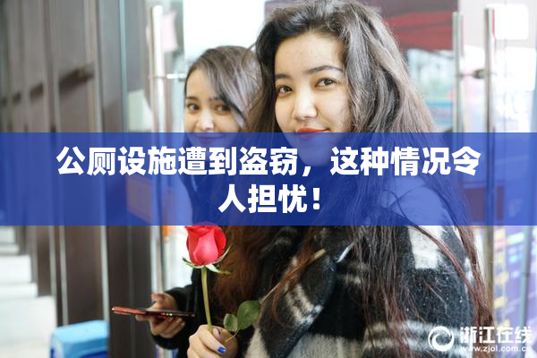 公厕设施遭到盗窃，这种情况令人担忧！