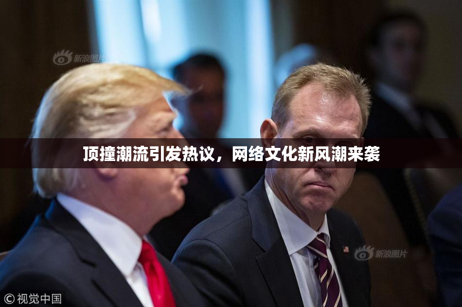 顶撞潮流引发热议，网络文化新风潮来袭