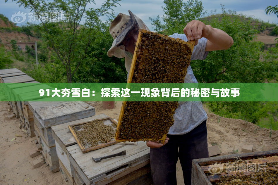 91大夯雪白：探索这一现象背后的秘密与故事