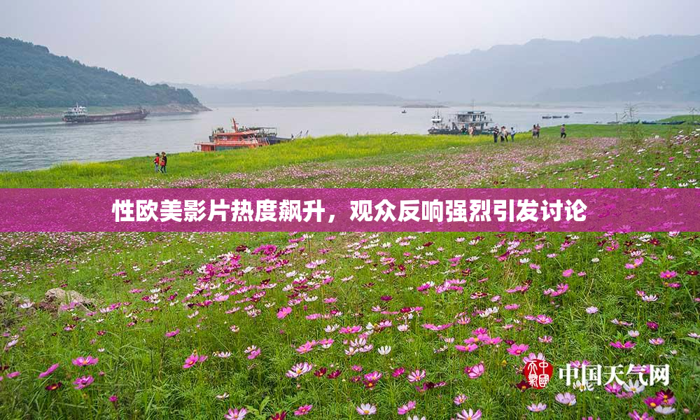 性欧美影片热度飙升，观众反响强烈引发讨论