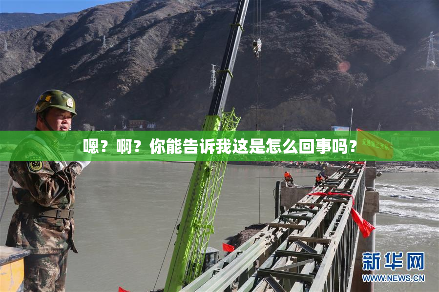 嗯？啊？你能告诉我这是怎么回事吗？