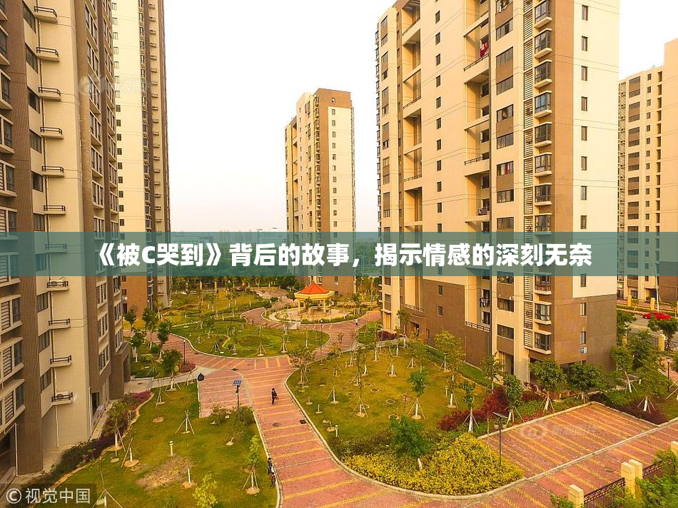 《被C哭到》背后的故事，揭示情感的深刻无奈