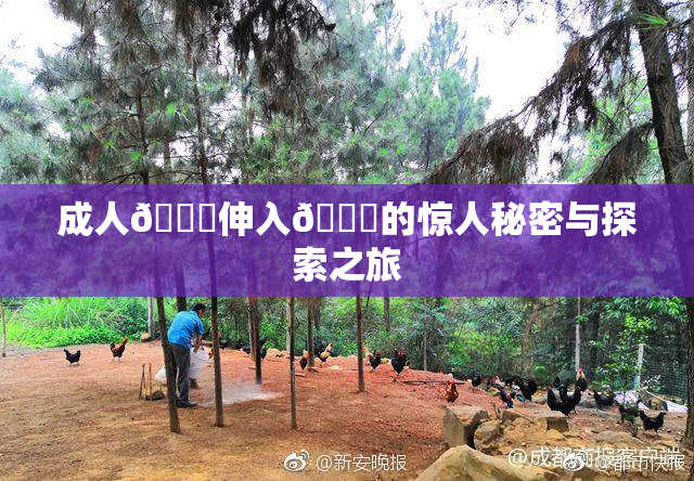 成人🍆伸入🍑的惊人秘密与探索之旅