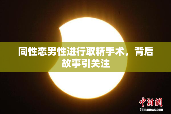 同性恋男性进行取精手术，背后故事引关注