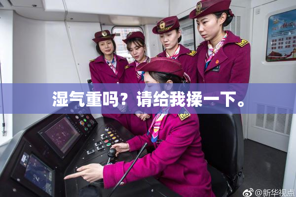湿气重吗？请给我揉一下。