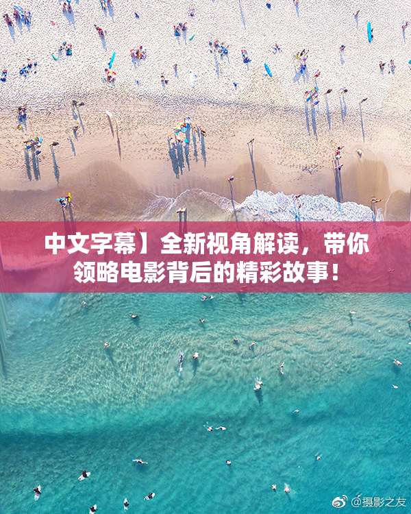中文字幕】全新视角解读，带你领略电影背后的精彩故事！