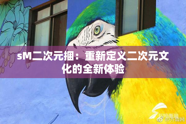 sM二次元捆：重新定义二次元文化的全新体验