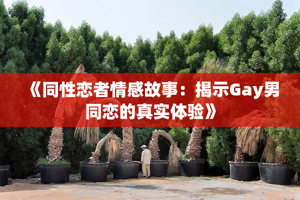 《同性恋者情感故事：揭示Gay男同恋的真实体验》