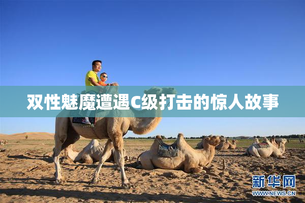 双性魅魔遭遇C级打击的惊人故事