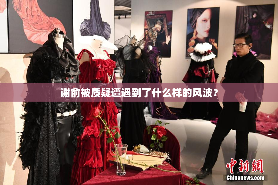 谢俞被质疑遭遇到了什么样的风波？