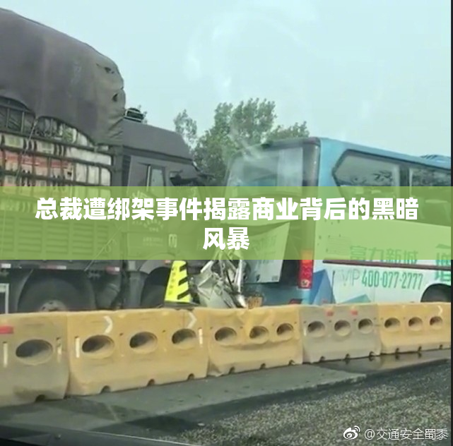 总裁遭绑架事件揭露商业背后的黑暗风暴