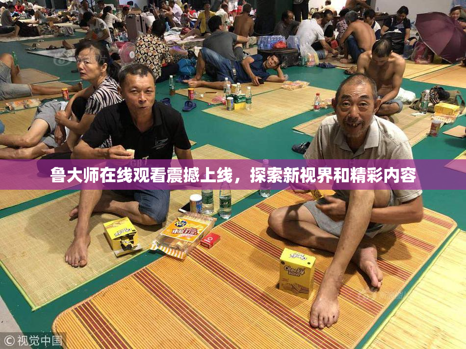 鲁大师在线观看震撼上线，探索新视界和精彩内容