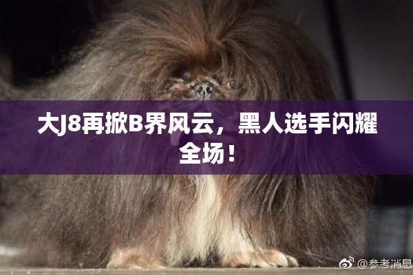 大J8再掀B界风云，黑人选手闪耀全场！