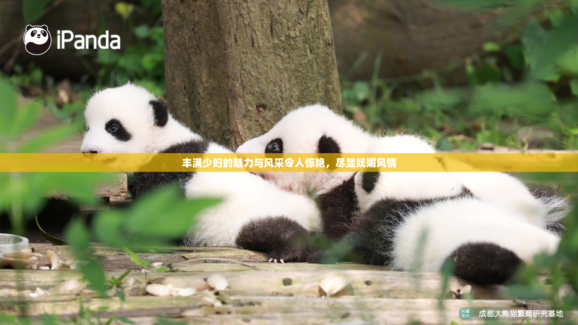 丰满少妇的魅力与风采令人惊艳，尽显妩媚风情