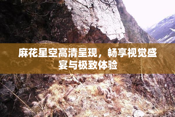 麻花星空高清呈现，畅享视觉盛宴与极致体验