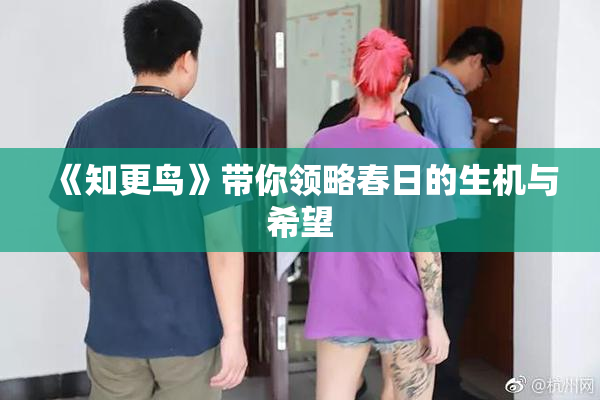 《知更鸟》带你领略春日的生机与希望