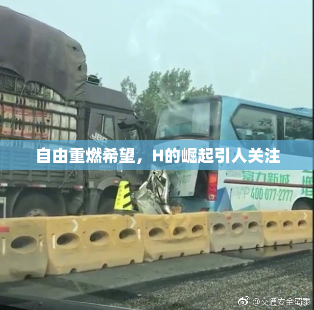 自由重燃希望，H的崛起引人关注