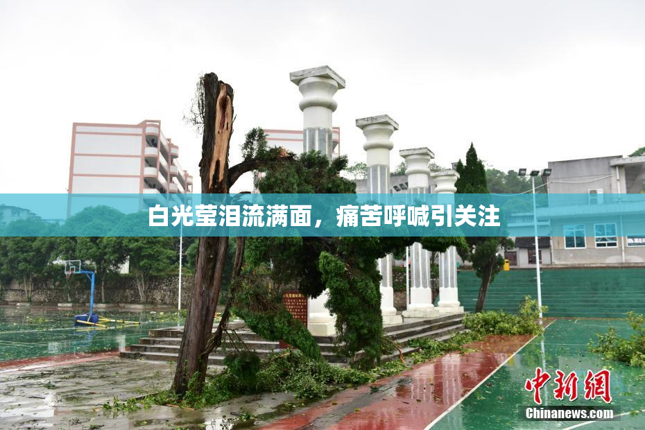 白光莹泪流满面，痛苦呼喊引关注