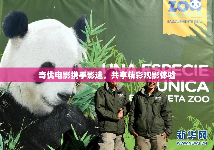 奇优电影携手影迷，共享精彩观影体验