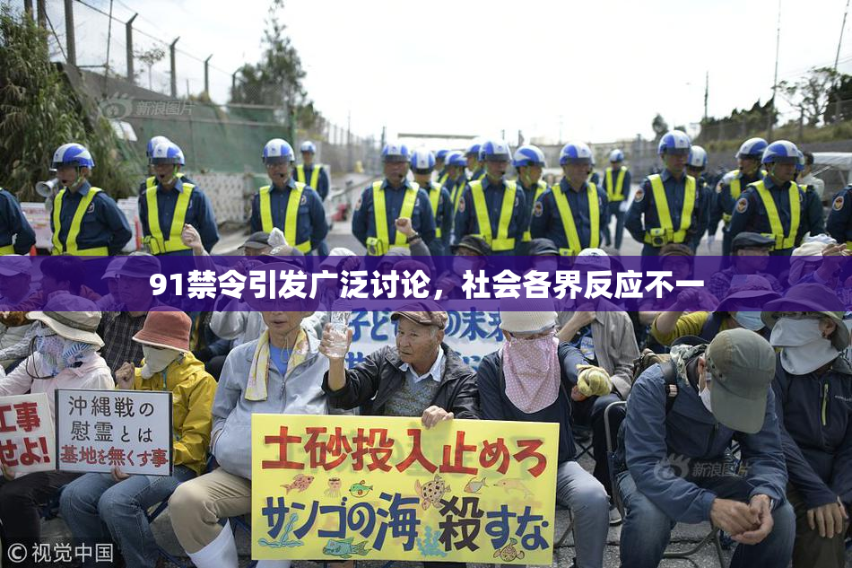 91禁令引发广泛讨论，社会各界反应不一