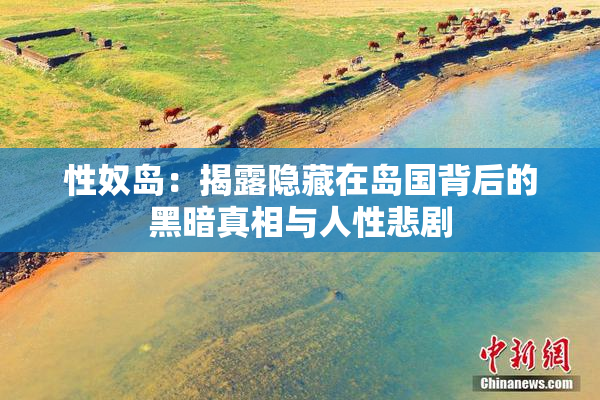 性奴岛：揭露隐藏在岛国背后的黑暗真相与人性悲剧