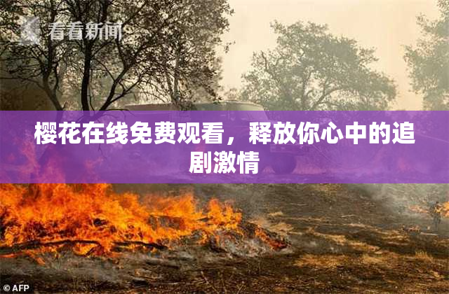 樱花在线免费观看，释放你心中的追剧激情