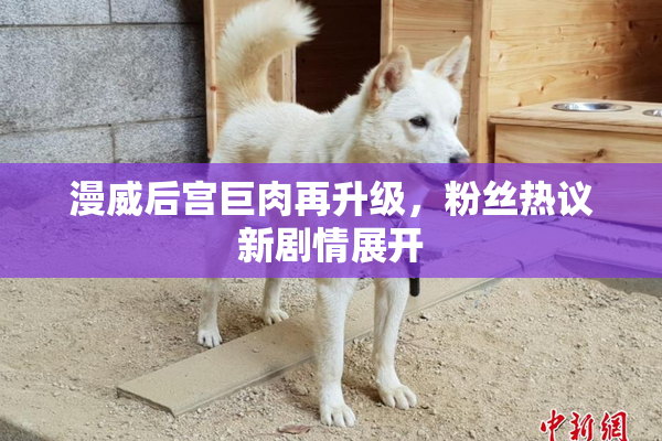 漫威后宫巨肉再升级，粉丝热议新剧情展开