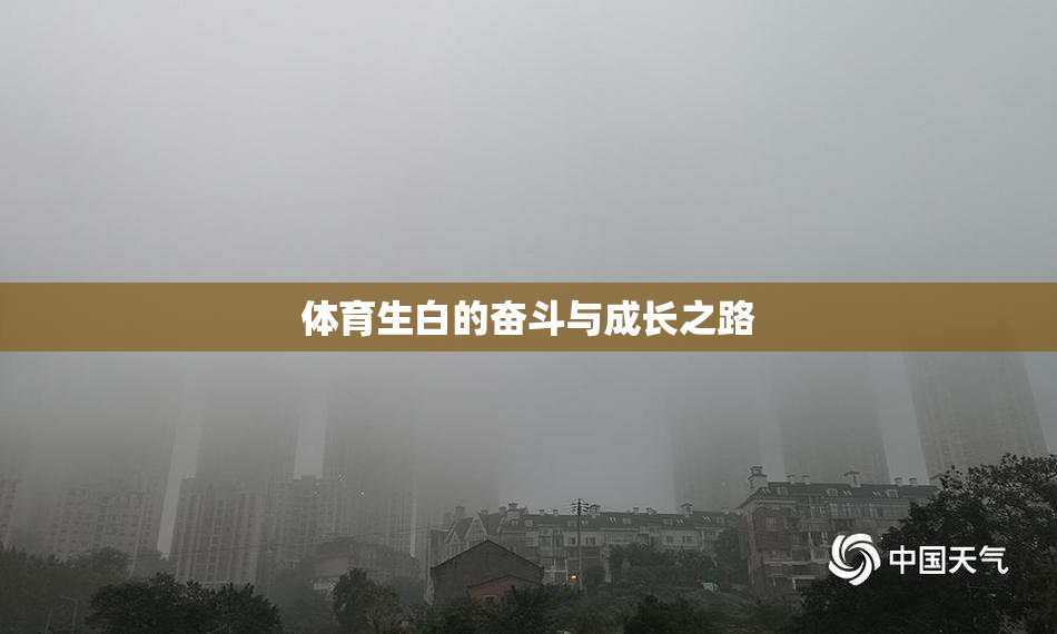 体育生白的奋斗与成长之路