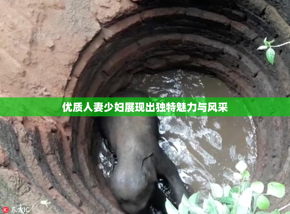 优质人妻少妇展现出独特魅力与风采