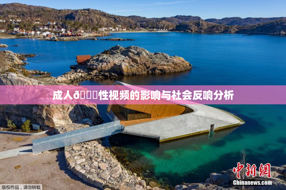 成人🔞性视频的影响与社会反响分析