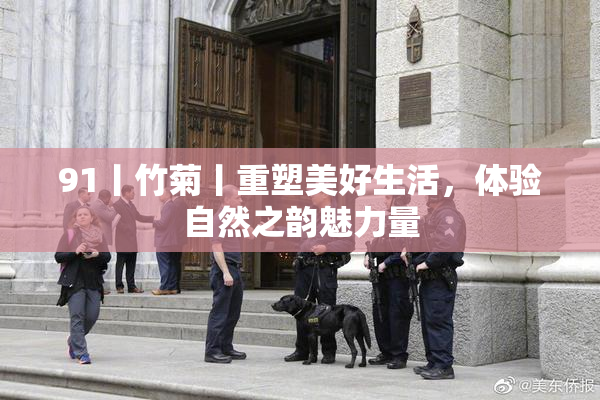 91丨竹菊丨重塑美好生活，体验自然之韵魅力量