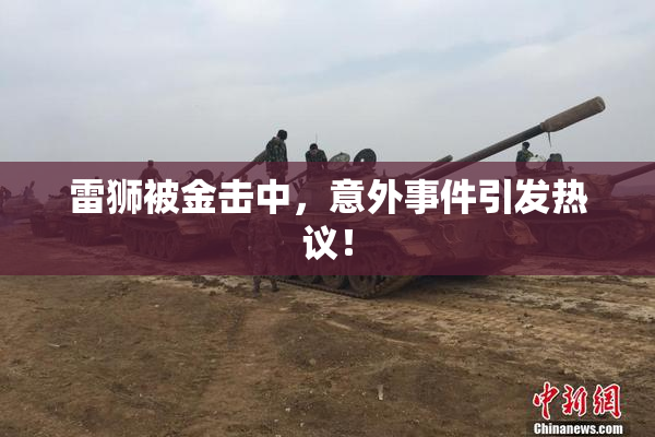 雷狮被金击中，意外事件引发热议！