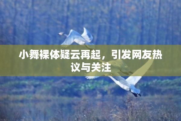 小舞裸体疑云再起，引发网友热议与关注