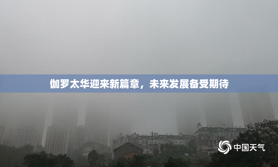 伽罗太华迎来新篇章，未来发展备受期待