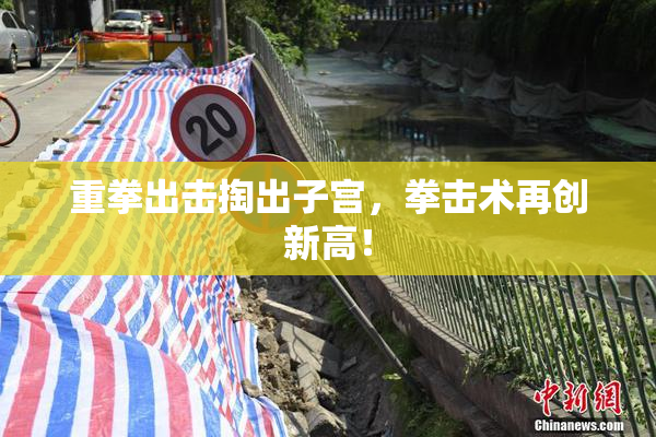 重拳出击掏出子宫，拳击术再创新高！