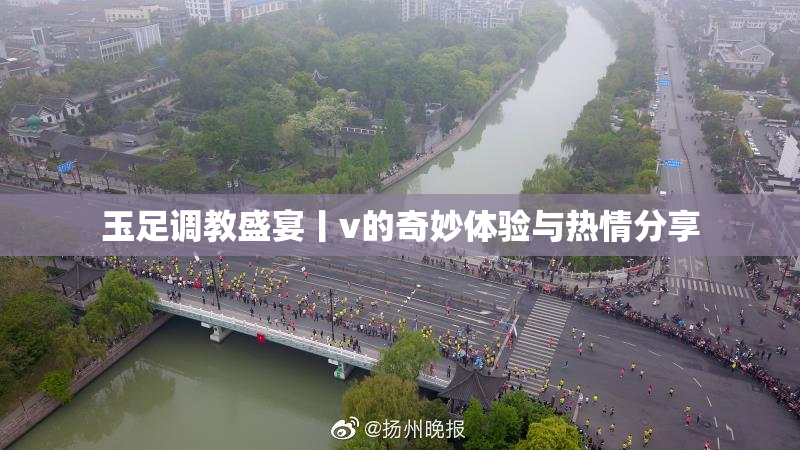 玉足调教盛宴丨v的奇妙体验与热情分享