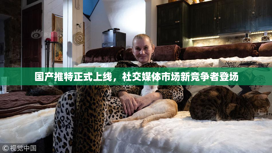 国产推特正式上线，社交媒体市场新竞争者登场