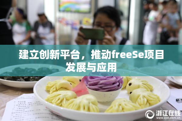 建立创新平台，推动freeSe项目发展与应用