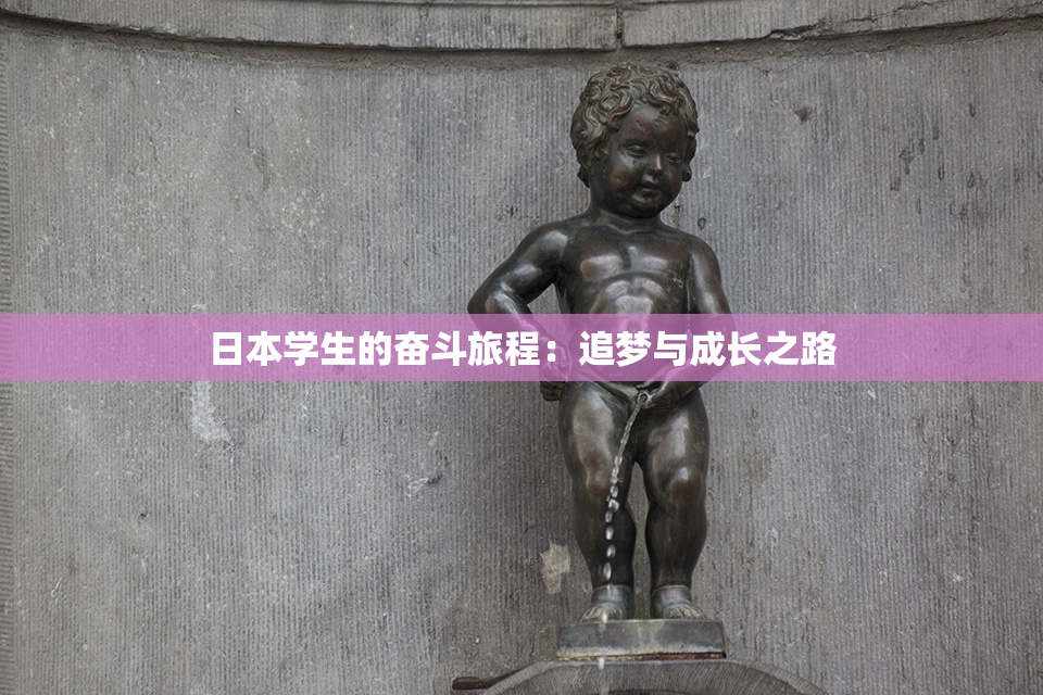 日本学生的奋斗旅程：追梦与成长之路
