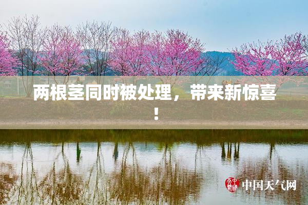 两根茎同时被处理，带来新惊喜！