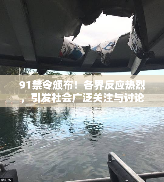 91禁令颁布！各界反应热烈，引发社会广泛关注与讨论
