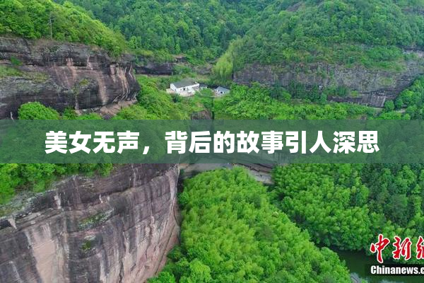 美女无声，背后的故事引人深思