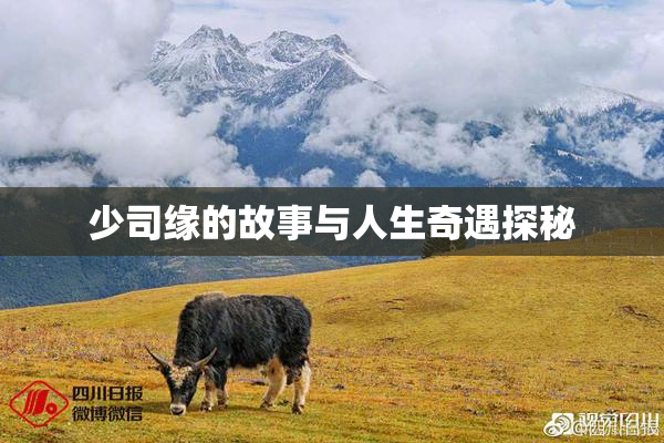 少司缘的故事与人生奇遇探秘
