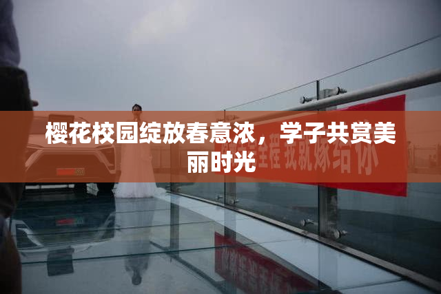 樱花校园绽放春意浓，学子共赏美丽时光