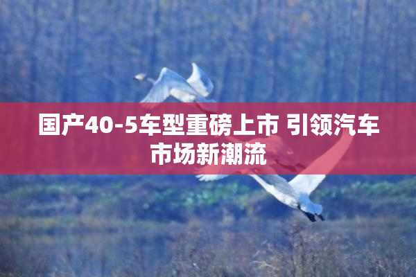 国产40-5车型重磅上市 引领汽车市场新潮流